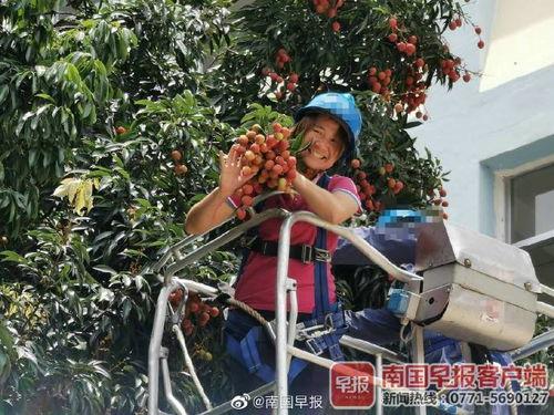 北海老师吃瓜,揭秘娱乐圈幕后故事