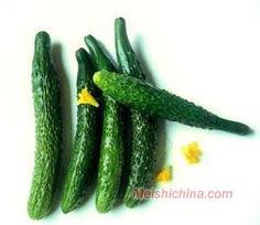 生瓜能常吃,健康生活新选择