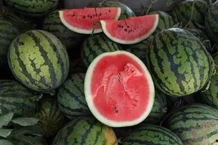 吃瓜群众10块钱的瓜,揭秘吃瓜群众的疯狂消费