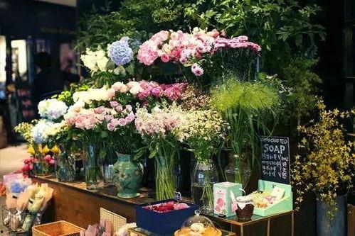 花店的吃瓜视频,揭秘花店日常趣事与温馨瞬间