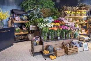 花店的吃瓜视频,揭秘花店日常趣事与温馨瞬间