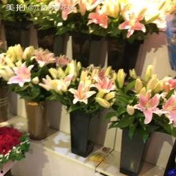 花店的吃瓜视频,揭秘花店日常趣事与温馨瞬间