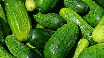 吃瓜糖多多,揭秘瓜界新宠的甜蜜魅力