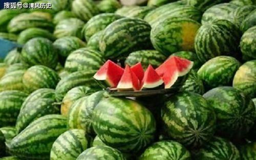 412吃瓜txt,一场网络狂欢背后的真相与反思