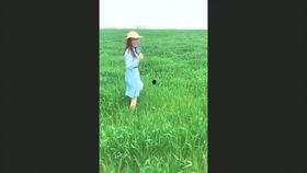 吃瓜不给钱电影