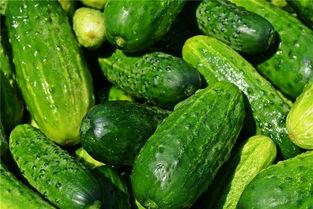 梦见有人送吃的瓜,揭秘瓜果佳肴的神秘寓意