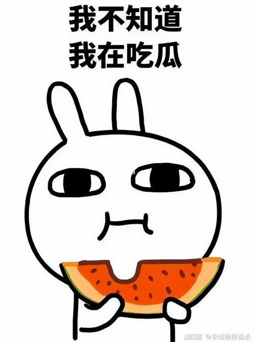 吃瓜的憨憨,笑料横生