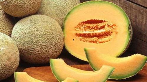 吃鱿鱼吃哈密瓜,一场味蕾的盛宴