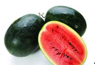 吃瓜的是什么专业,揭秘不同专业视角下的吃瓜众生相