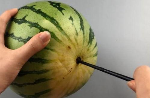 吃瓜的是什么专业,揭秘不同专业视角下的吃瓜众生相