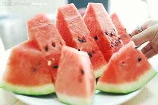 吃瓜的是什么专业,揭秘不同专业视角下的吃瓜众生相