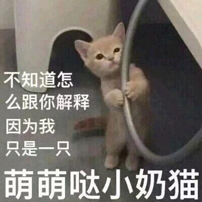 小老四吃瓜,揭秘娱乐圈背后的那些事儿