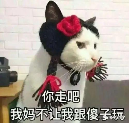 小傻瓜吃瓜照片,萌态十足引网友热议