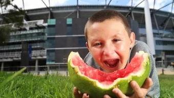 什么是吃瓜男孩