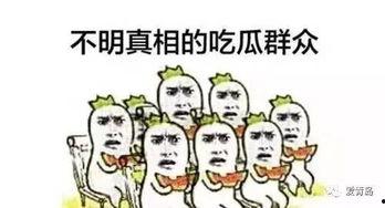 吃瓜是什么污