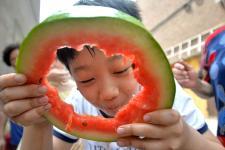 邯郸吃瓜群,揭秘网络社交背后的趣味与争议