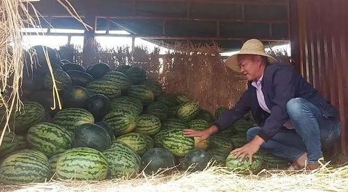 昆明正义方吃瓜,一场吃瓜群众的狂欢盛宴