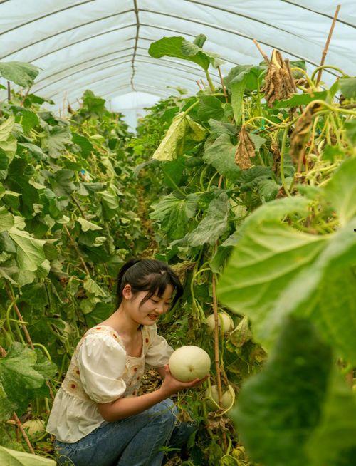 花田姐妹吃瓜,揭秘娱乐圈的甜蜜瓜事