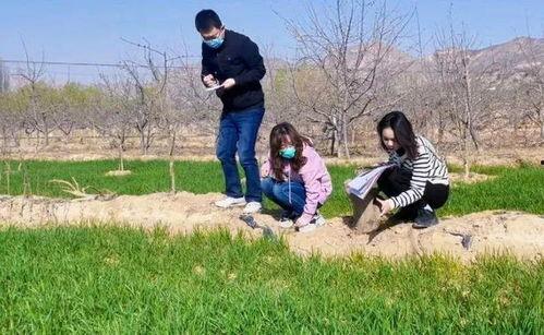 花田姐妹吃瓜,揭秘娱乐圈的甜蜜瓜事