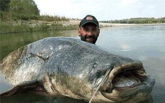 寸头渔民吃瓜,揭秘渔村生活趣事