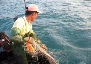 寸头渔民吃瓜,揭秘渔村生活趣事