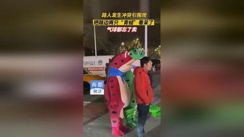 青蛙 在路边沉迷吃瓜,瓜果诱惑难挡