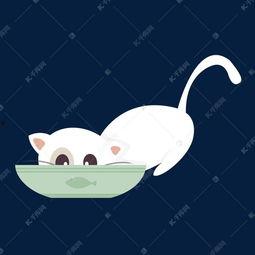 夏日猫咪吃瓜图,萌态十足！