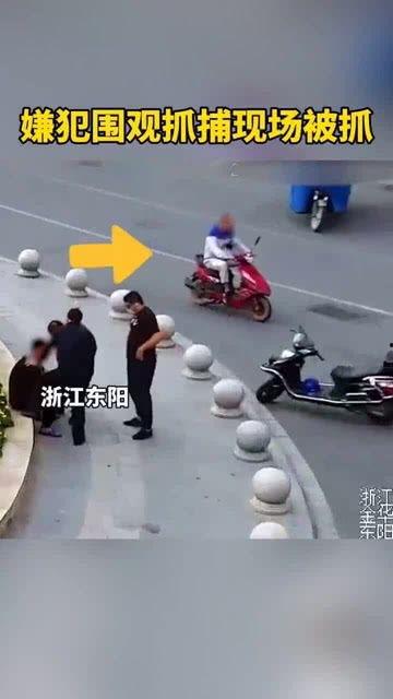 大头吃瓜现场,揭秘娱乐圈幕后风云