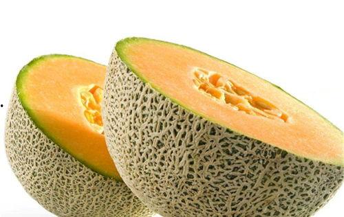 吃狗肉后能吃哈密瓜么,哈密瓜能同食吗？营养与健康的探讨