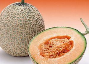 吃狗肉后能吃哈密瓜么,哈密瓜能同食吗？营养与健康的探讨