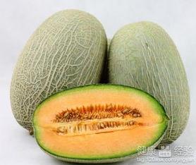 天鹅吃哈密瓜,探寻天鹅与哈密瓜的奇妙邂逅