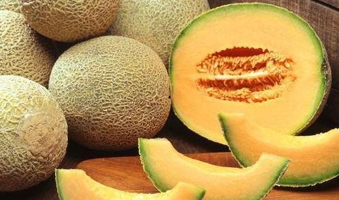 天鹅吃哈密瓜,探寻天鹅与哈密瓜的奇妙邂逅