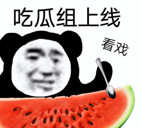 打假吃瓜视频素材,揭秘幕后真相，还原事件原貌