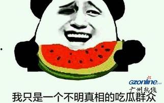 吃瓜奇趣杂谈简介,趣味横生的娱乐圈幕后故事