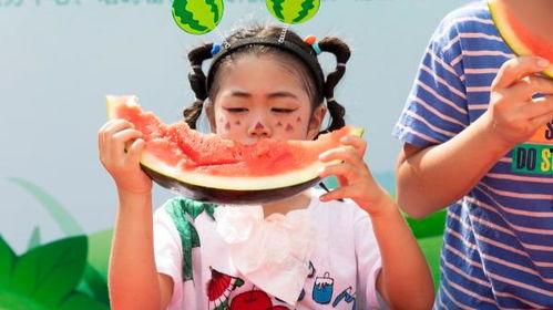 吃瓜奇趣杂谈简介,趣味横生的娱乐圈幕后故事