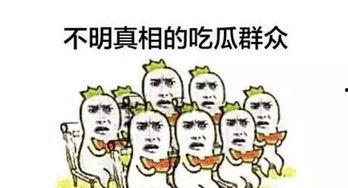 吃瓜安静,揭秘娱乐圈背后的真实故事