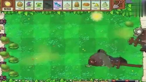 战斗田田仔吃瓜,瓜田里的欢乐冒险