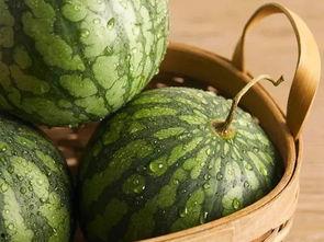 吃瓜了新鲜的瓜,吃瓜群众热捧的“新鲜瓜”盘点