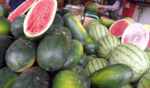 吃瓜吧中国,揭秘娱乐圈幕后故事