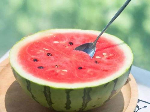 给家人吃瓜,共享美味西瓜，共度欢乐时光