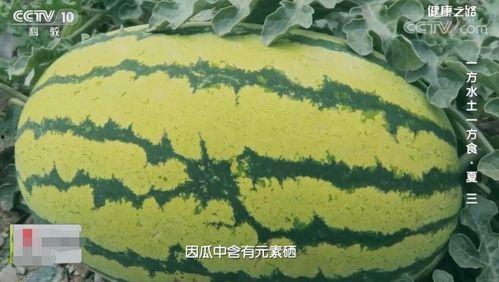 三瓜怎么吃才最健康视频,健康美味两不误的食用方法