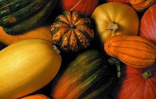 网纹瓜孕妇可以吃,孕妇的天然营养佳品