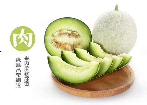 网纹瓜孕妇可以吃,孕妇的天然营养佳品