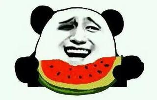 低头吃瓜情侣头,低头情侣共享瓜果时光