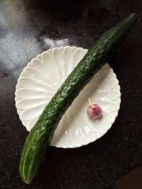 sakura吃瓜,揭秘娱乐圈的甜蜜与苦涩