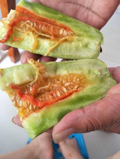 切开吃的瓜,探索切开吃的瓜的独特魅力