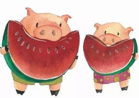 猪跑吃瓜