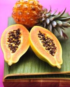 吃瓜少女养瓜,从种植到收获的甜蜜旅程