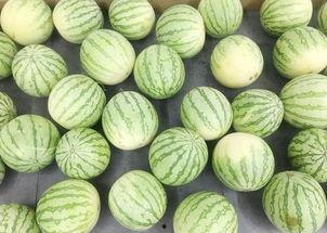 哪个吃瓜博主的瓜最真