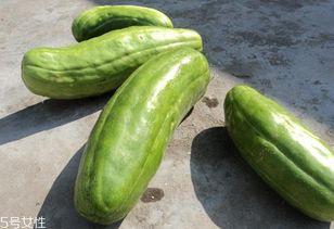 脆脆瓜可直接吃,可直接食用，美味又健康的水果新宠